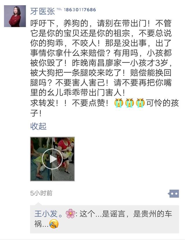 别再转发!南昌廖家3岁女孩被狗咬断腿,证实是谣言!