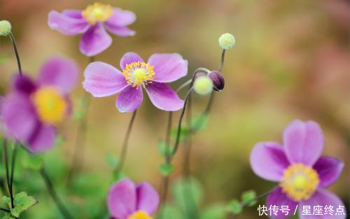 「人在一起」越吵越恩爱,天天吵也分不开,在一起最难分手的四对生肖组合