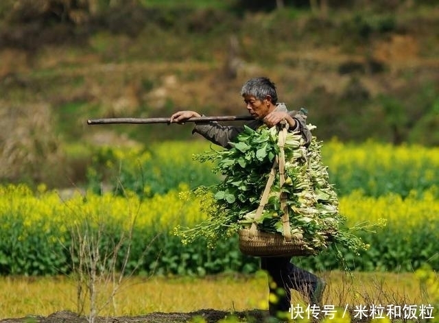  [养老金]40岁的时候,一次性补缴8万社保,退休后每月领1600元,划算吗！