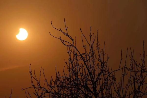 日食，你看了吗？