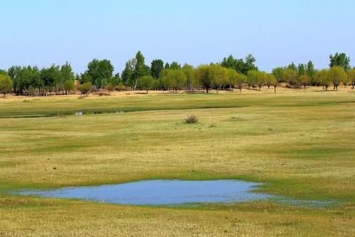 中国第一个将消失的沙漠：面积比海南岛还大，如今80％沙漠成绿洲