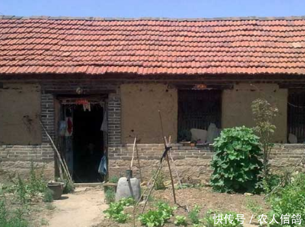  自建房■有自建房的农民要偷乐了，未来将实行四项福利，农民身