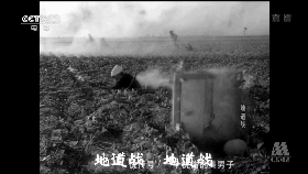 央视跨年是不是重播