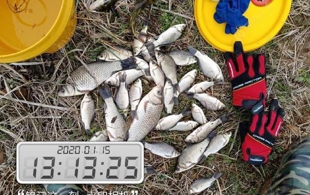  聚鱼|钓鱼记录，深水点 隔夜窝，聚鱼成群大板小爆