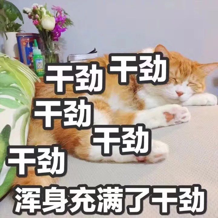 赵丽颖，你不要再cos蜡笔小新啦!