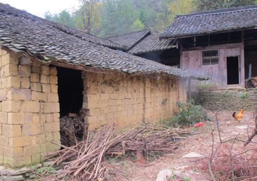  「生活」未来农村最值钱的不是房子和车子，而是以下3样东西，你