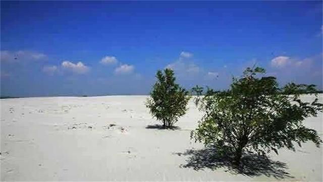 我国最值钱沙漠：不是西北却在南方，别国用一斤粮食换一斤沙被拒