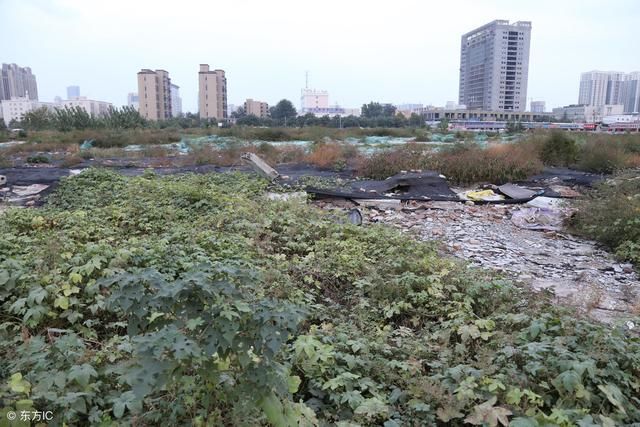 农民躲进了城里，农村土地荒废日益增多，土改还能起到作用吗？