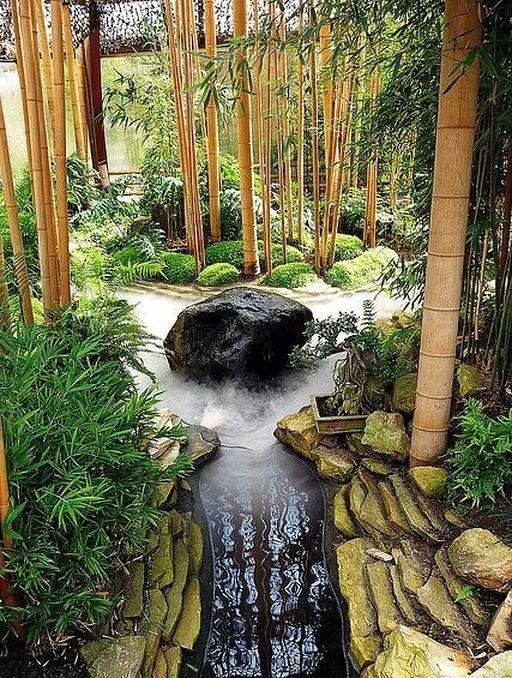 庭院竹子50张图告诉你，花园里种竹子有多高大上，气质瞬间提升