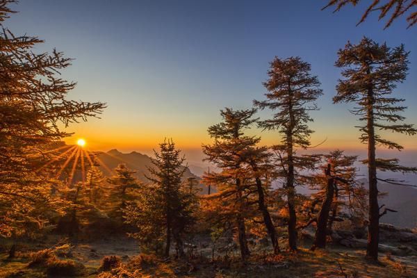 山西芦芽山进入秋色最佳观赏期 风景如画美煞人