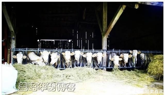  家里■法国农民的真实生活