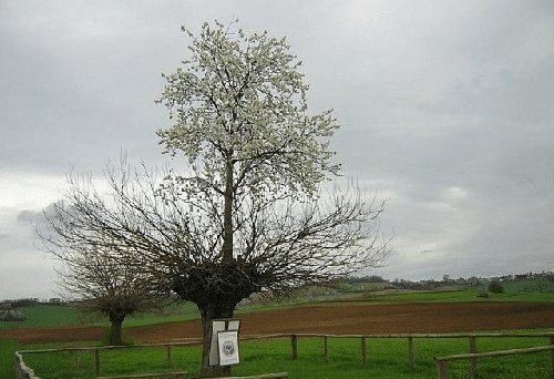 11个看似不符合科学逻辑,但真实存在世上的场所