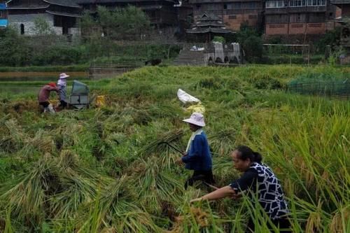 闻树义:百里侗乡