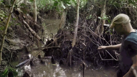 在蝎子和眼镜蛇横行之地，这位“现代鲁宾逊”吃的真香