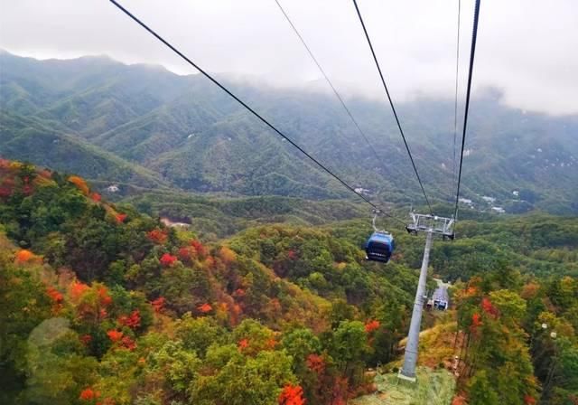 50岁以上游客到白云山玩免门票啦！截止时间…