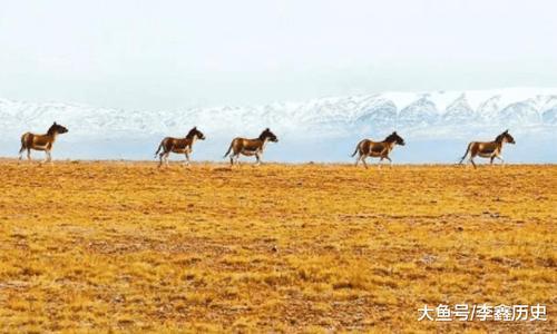 进藏铁路, 公路总共有多少条, 未来还要建多少条呢?