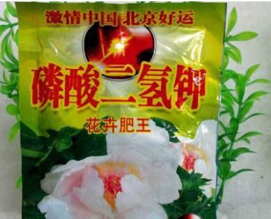  『缺肥』绿萝和吊兰叶子发黄是缺肥吗?