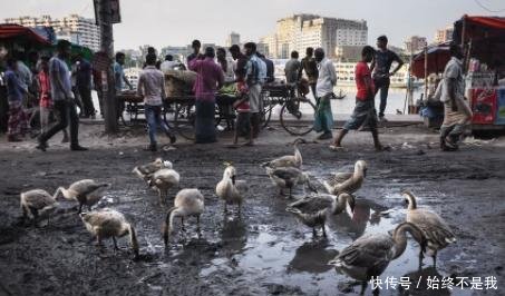 对中国依赖性最强的国家它出口到中国的商品，我们基本不收关税