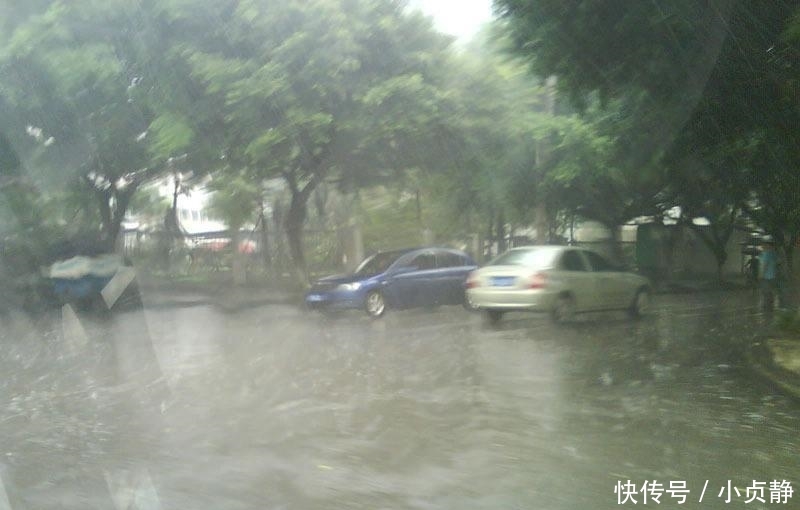 山东多地突降大雨, 看到树上的这一幕, 你就知道这雨下的究竟有多