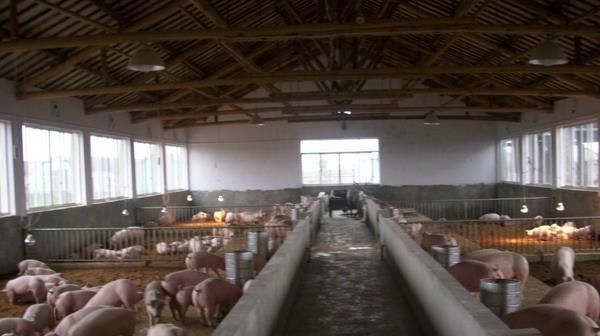  「参考」创业：农村能做什么？八大项目供您参考