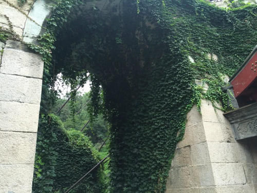  #gdp#我国GDP增长最快的城市：年增长2305亿，碾压上海、深圳