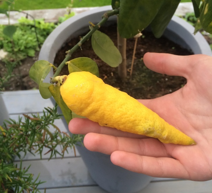 15张引人注目的照片,来自摄影师高超的技术,还有完美的巧合