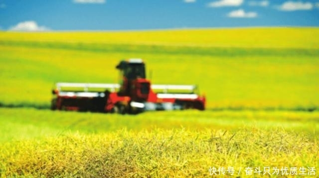  大国|中国有7亿农民，农业生产大国，为啥每年还需要从国外进口