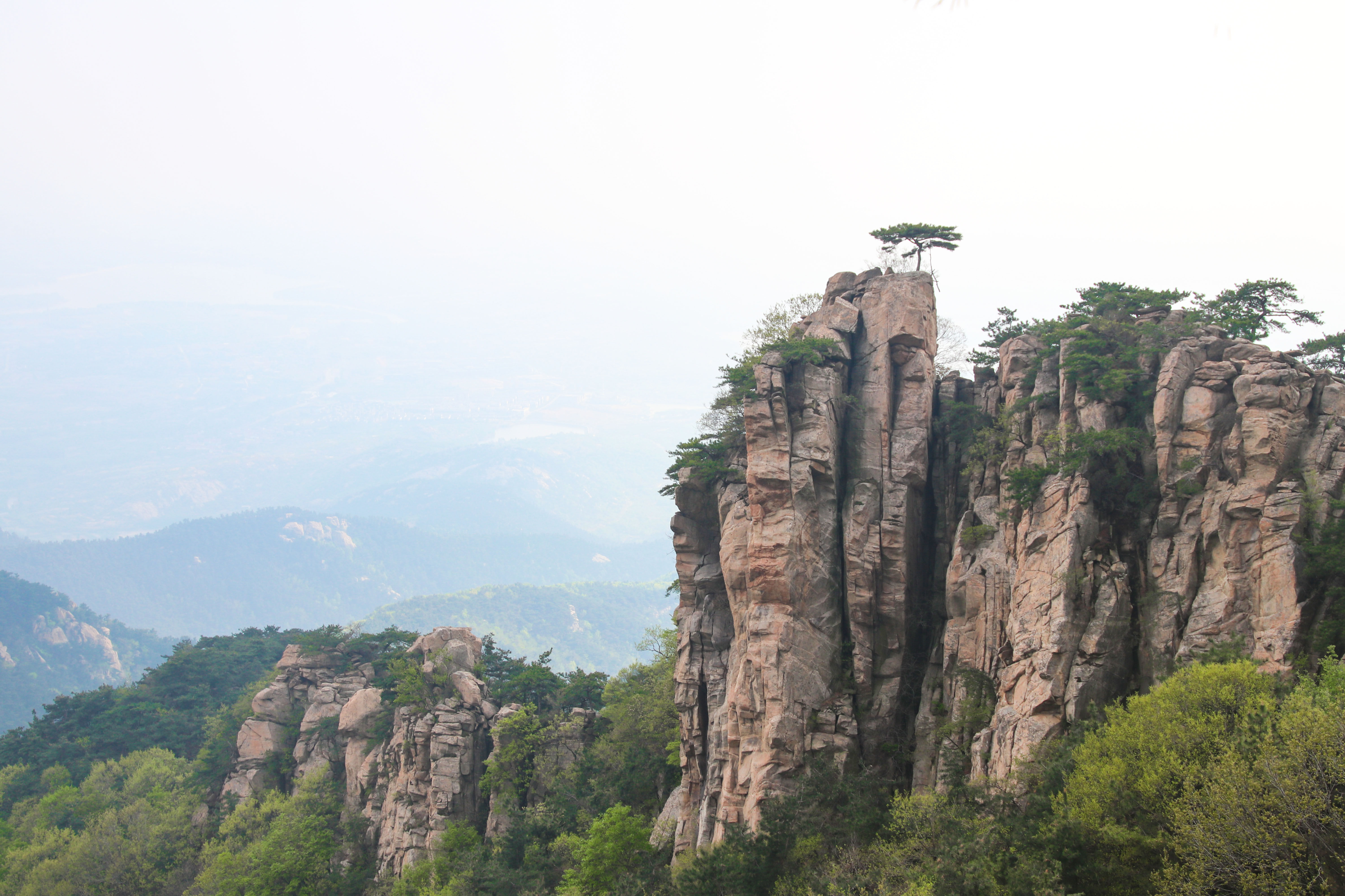来沂蒙山，我“养”你啊