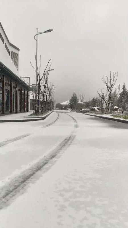  「地方」下！雪！啦！你没看错，一觉醒来，浙江这些地方白茫茫一片！