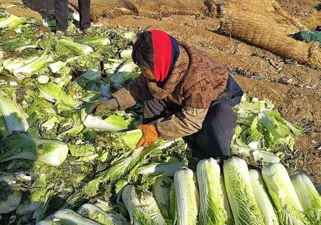 意外之后,复工在即,农民出去打工前,这4件事请务必要记进心里