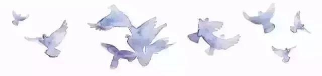 学思践行|枝江行 “无中生有”的枝江农村旅游