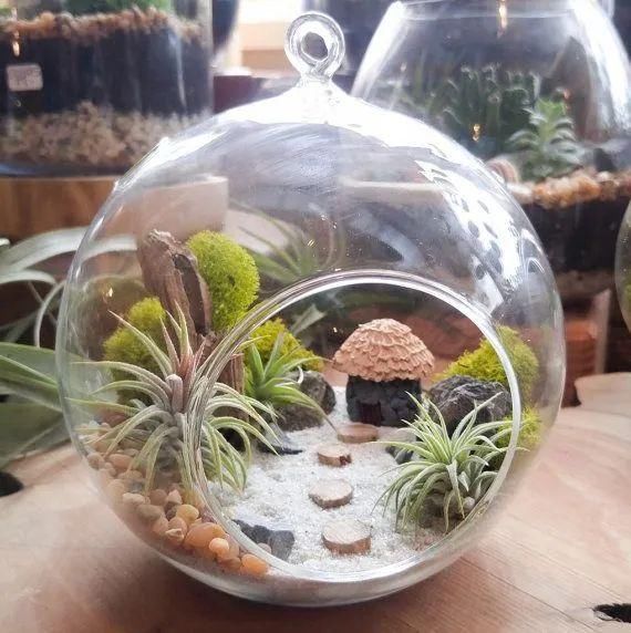  『布置在玻璃』在玻璃容器里布置的植物景观，栽培这些植物，都是很容易照顾的