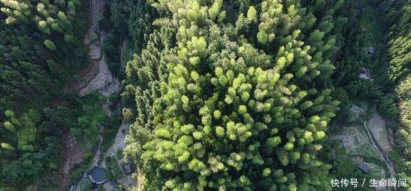 清远绝美 “世外桃源” 堪称人间仙境！