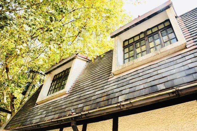 上海这条马路号称第一花园马路，哥伦比亚风情，连总统都爱!