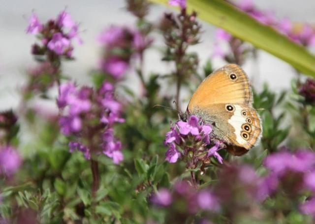  套房@为什么要在老家留套房，看完你就懂了！