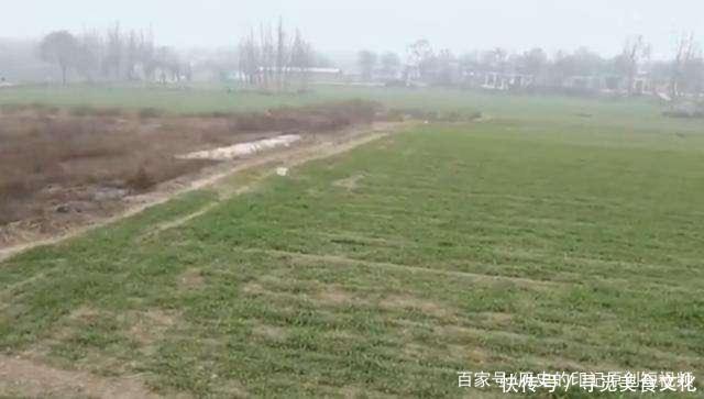  #陕西#陕西农村庄稼荒废多年，专家赶来惊道这有地下工程，不得