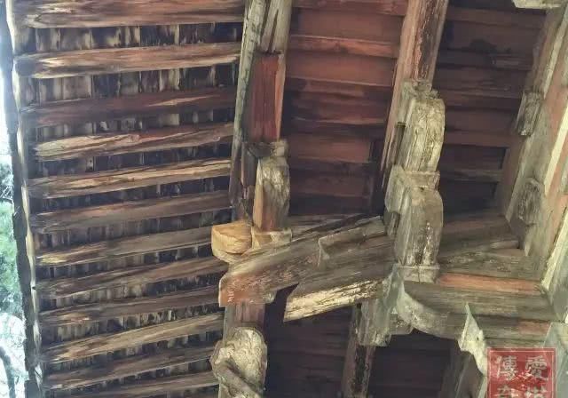  【中国】梁思成林徽因的文化远征：万里跋涉找到“中国第一国宝