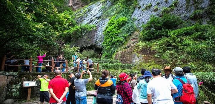  安徽■我国2棵最珍贵的树，一棵在福建，一棵在安徽，24小时专人