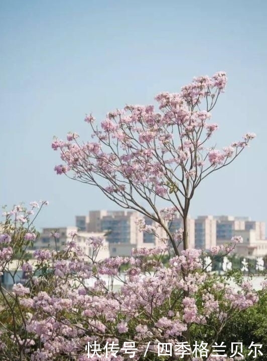  「唯一」他，是中国唯一用伟人命名的城市，是中国最适合居住的