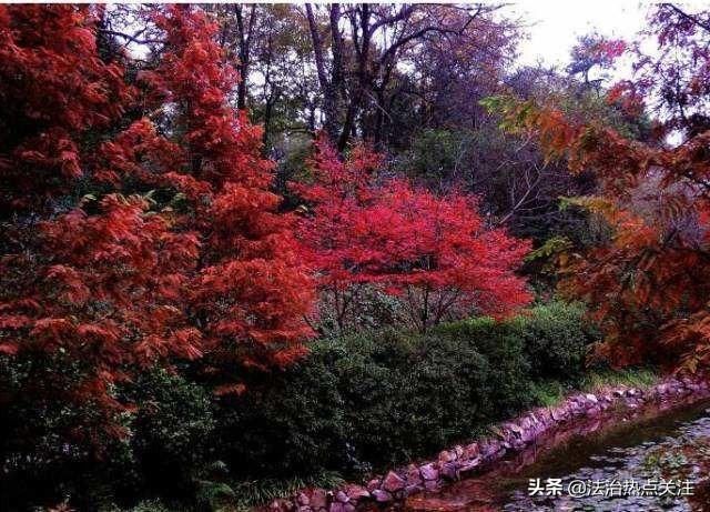 河南洛阳 世界地质公园木札岭