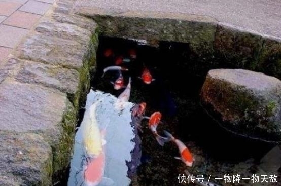 日本人到底有多爱干净?看看他们的下水道,简直丧心病狂!