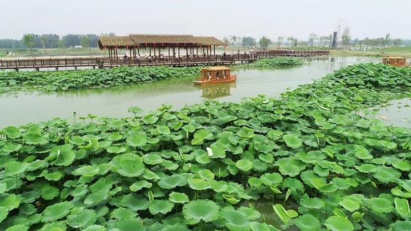 你都去过这些景区吗?2018年滨州新增10处3A级景区