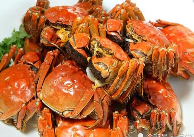 叶璇怀孕想吃螃蟹，老公实力宠妻买了一箱，网友的一句话扎心了!