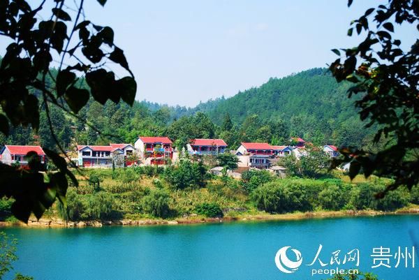  「呼吸」毕节百里杜鹃：一个被森林覆盖的村庄 展现会呼吸的智慧