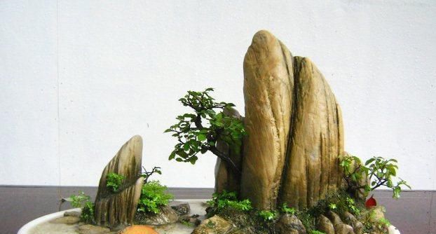  小东西：小东西大作用！山水盆景里的石材你会用吗？