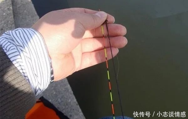 『永远』夏天钓鱼,这几个小细节不改过来,永远别想钓大鱼