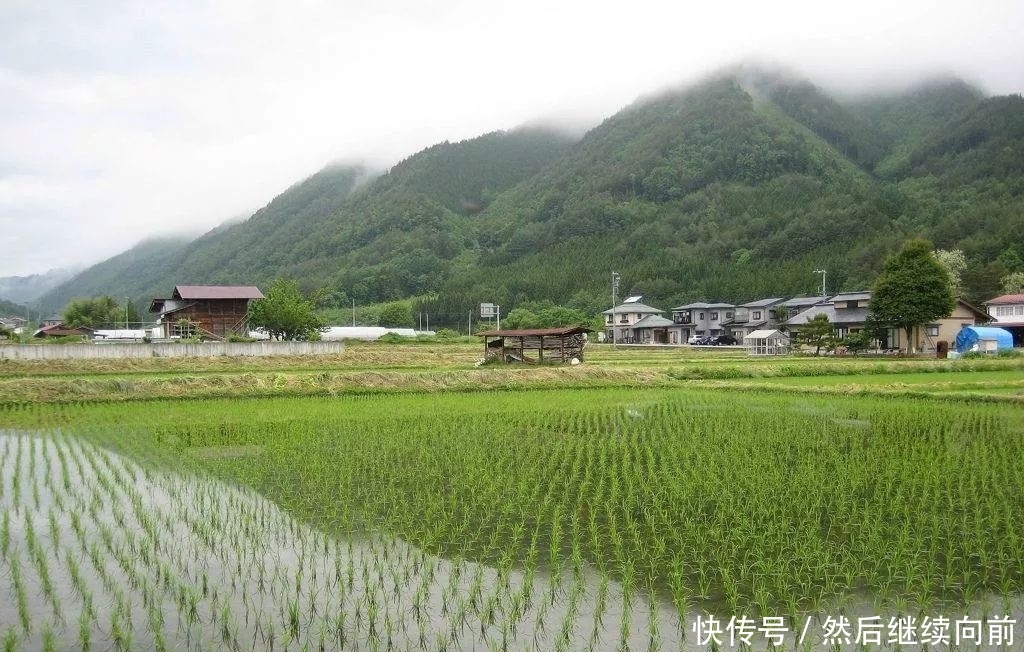 联系我们@日本的农村是怎样的？