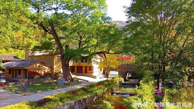 过年一个月，“返乡潮”又起，农村这些行业要火，赚钱机会来了