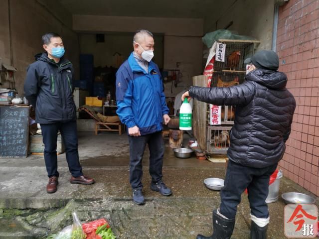  养殖企业进|严管野味市场！柳州封闭控制33家养殖野猪竹鼠企业