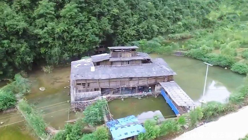 贵州天坑里仅住着一户人家, 怎么劝都不搬走, 因为舍不得一样东西